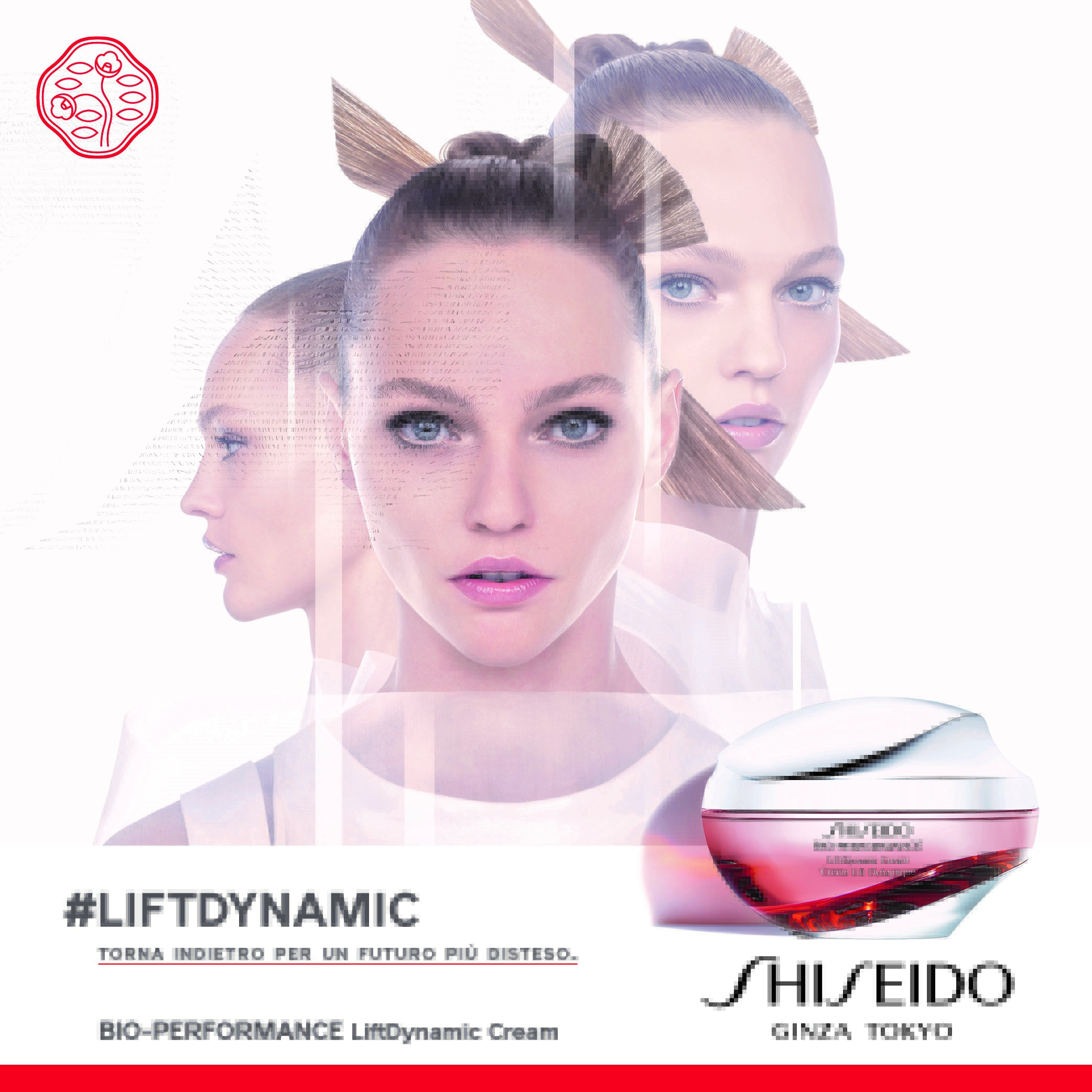 SHISEIDO